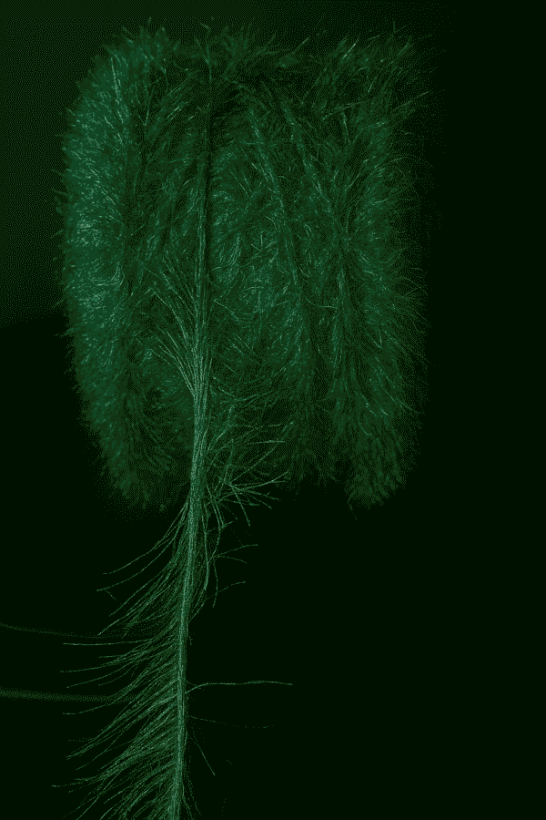 Green Eyelash Fur Reshom