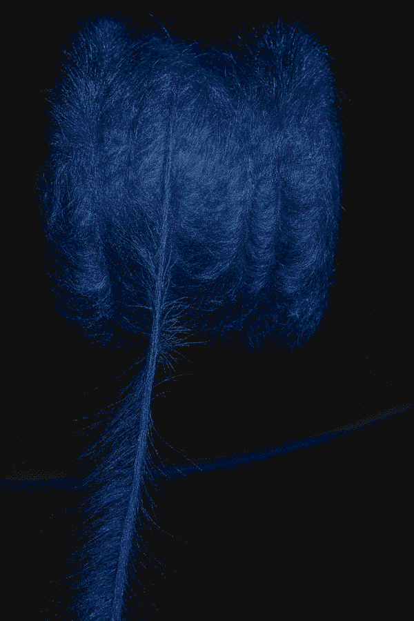 Blue Eyelash Fur Reshom